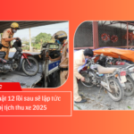 Tránh xa 12 lỗi này nếu không muốn bị tịch thu xe vào năm 2025