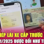 Từ ngày 15/1/2025 Lưu ý đổi Giấy phép lái xe sang mẫu mới